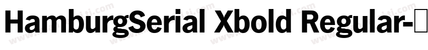 HamburgSerial Xbold Regular字体转换